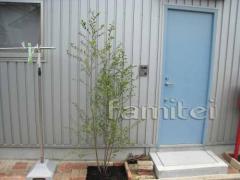 ����ܥ�ĥ꡼�������Υ�(���ռ�)