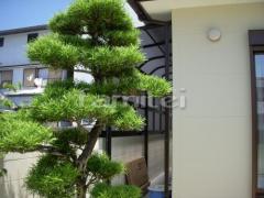 �ƥ饹���� �쥮��顼�ƥ饹�����ƥ饹1ܴ