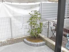 �ԥ󥳥��в��� ��ߥ��� �����ֶ����ǥ����� ���� ����