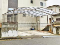 本体色 シャイングレー