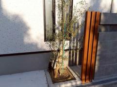 木製調デザインアルミ門柱 プランパーツ75角 角材 植栽 シンボルツリー オリーブ ピンコロ石花壇